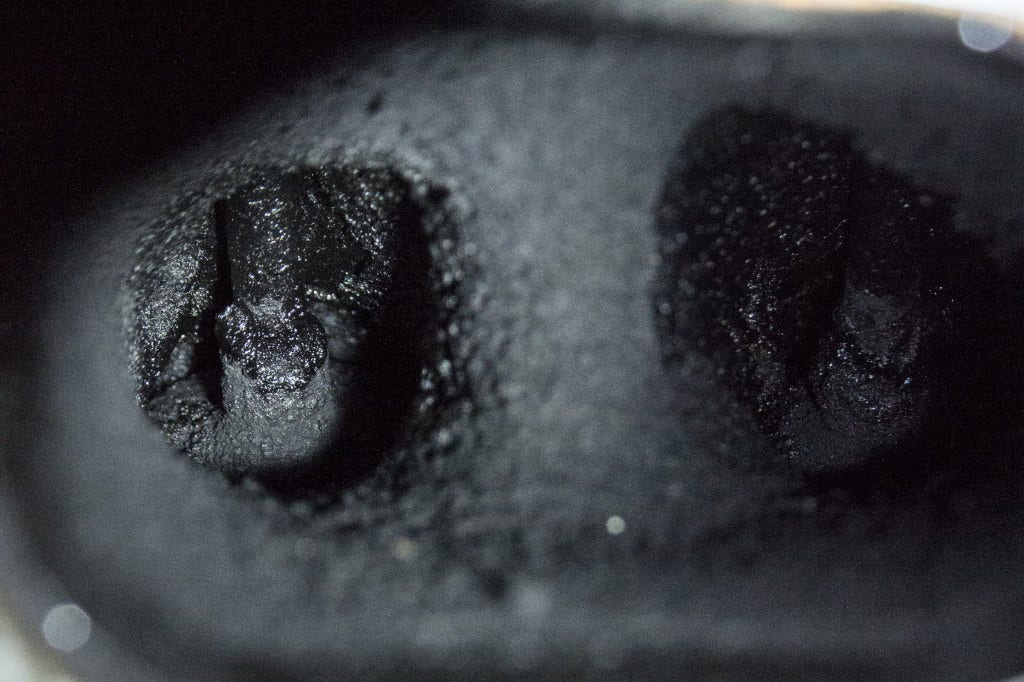 Dirty intake valve example