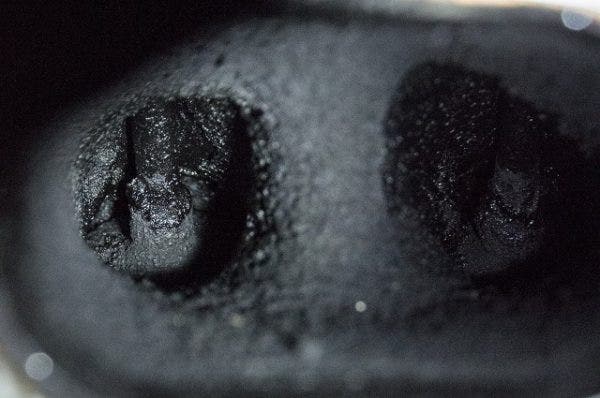 Example of valves covered in carbon deposits